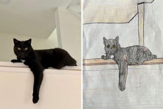 Illustration de l'article : 20 portraits d'animaux de compagnie dessinés par des bénévoles pour la bonne cause