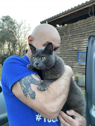 Illustration de l'article : Disparu lors des feux de forêt en Gironde, Jak le chat fait l'objet d'incessantes recherches pendant 7 mois jusqu'à ce "miracle"