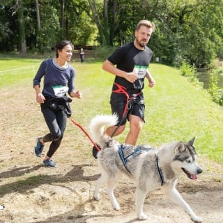 Illustration de l'article : La Woof Run devient la Woofest : nouveau nom et nouveau concept pour le rendez-vous des amoureux des chiens et des sports canins