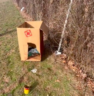 Illustration de l'article : Alors qu’elle allait chercher des gâteaux pour ses collègues, une femme découvre 2 chiots abandonnés sur le bord de la route (vidéo)