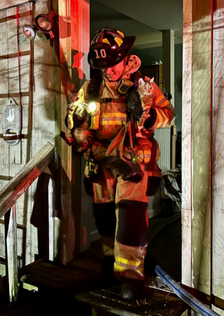 Illustration de l'article : Les pompiers s'engouffrent dans une maison en feu avec 3 chats et 3 chiens à l'intérieur, espérant les retrouver à temps