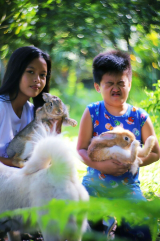Illustration de l'article : 12 photos craquantes d'un duo de lapins heureux en famille
