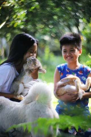 Illustration de l'article : 12 photos craquantes d'un duo de lapins heureux en famille