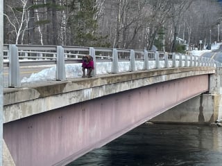 Illustration de l'article : Un chien marchant seul sur un pont au-dessus d'une rivière gelée interpelle les passants qui lui viennent en aide