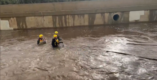 Illustration de l'article : 2 chiens tombés dans une rivière déchaînée déclenchent l'intervention héroïque des pompiers