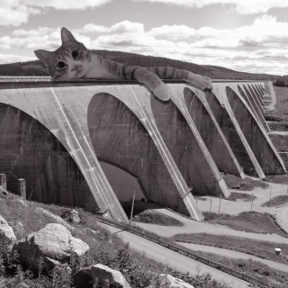 Illustration de l'article : 20 photos de cas "géants" s'emparant d'immenses bâtiments avec leur insouciance caractéristique