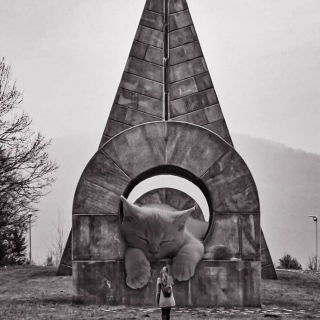 Illustration de l'article : 20 photos de cas "géants" s'emparant d'immenses bâtiments avec leur insouciance caractéristique