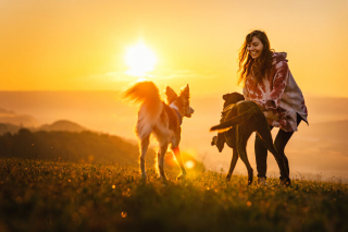 Illustration de l'article : 12 clichés présentés lors d'un grand concours photo canin et qui vous laisseront sans voix