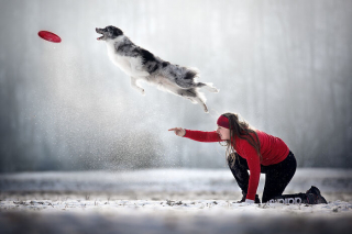 Illustration de l'article : 12 clichés présentés lors d'un grand concours photo canin et qui vous laisseront sans voix