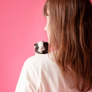 Illustration de l'article : 14 photos en studio de cochons d'Inde qui vous feront craquer pour ces adorables rongeurs