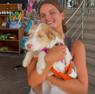 Illustration de l'article : Un couple de vacanciers croise une chienne blessée et errante sur l'autoroute. Il décide de stopper la voiture ! (vidéo)