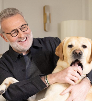 Illustration de l'article : "Il a été un chien joyeux jusqu’au bout" : Laurent Ruquier partage sa peine au sujet de son Labrador
