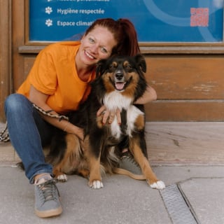 Illustration de l'article : À Strasbourg, les touristes peuvent confier leur chien à Patch Guard pendant qu’ils visitent la ville