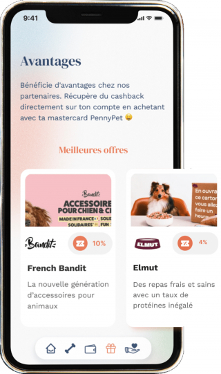 Illustration de l'article : PennyPet : la carte de paiement qui soutient vos finances et le bien-être animal