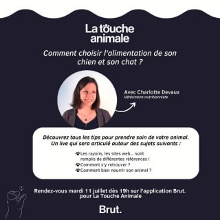 Illustration de l'article : Que donner à manger à son chien ou à son chat ? Une vétérinaire vous livre ses conseils dans "La Touche Animale" à 19h !