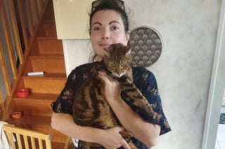 Illustration de l'article : 5 ans après la disparition de son chat, une femme reçoit un appel téléphonique bouleversant