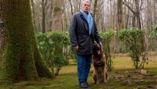 Illustration de l'article : Le chien d'Alain Delon au cœur d'une bataille judiciaire entre les enfants de l'acteur et sa dame de compagnie