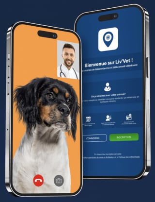 Illustration de l'article : Avec l'application Liv'Vet, consultez un vétérinaire en quelques minutes sur votre lieu de vacances