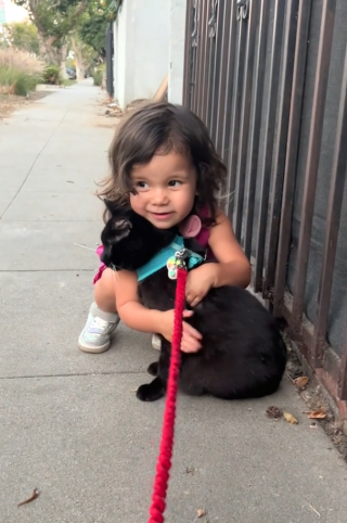 Illustration de l'article : L’adorable vidéo d’un chat à une oreille qui se laisse dorloter par une fillette dans la rue 