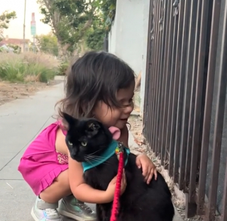 Illustration de l'article : L’adorable vidéo d’un chat à une oreille qui se laisse dorloter par une fillette dans la rue 