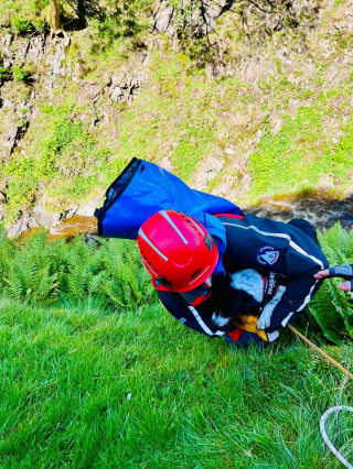 Illustration de l'article : Le dévouement des secouristes pour sauver un chien qui a fait une chute vertigineuse de 60 mètres depuis le haut d'une cascade