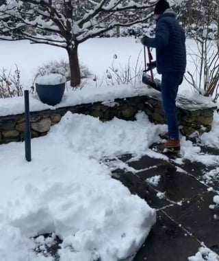 Illustration de l'article : La vidéo hilarante d’une chienne qui fait semblant d’être bloquée par un tas de neige non déblayé