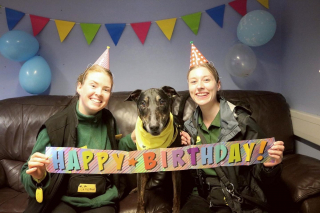 Illustration de l'article : Un chien de refuge profite d'une fête en son honneur pour son 10e anniversaire, mais il attend toujours le cadeau de ses rêves