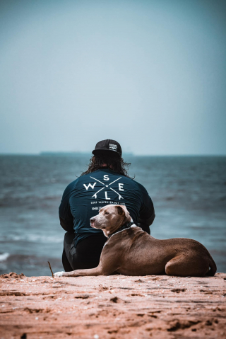 Illustration de l'article : "Il a changé mon monde" : un ancien militaire traumatisé raconte son sauvetage par un chien d'assistance