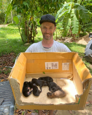 Illustration de l'article : 20 photos racontant l'histoire touchante d'un homme ayant changé de vie en sauvant les chiens errants en ThaÏlande