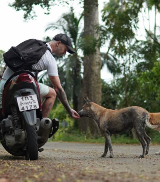 Illustration de l'article : 20 photos racontant l'histoire touchante d'un homme ayant changé de vie en sauvant les chiens errants en ThaÏlande