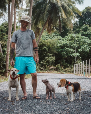 Illustration de l'article : 20 photos racontant l'histoire touchante d'un homme ayant changé de vie en sauvant les chiens errants en ThaÏlande