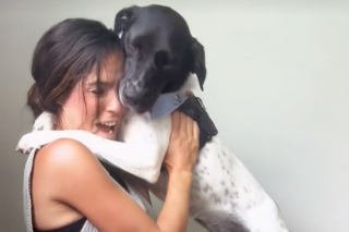 Illustration de l'article : Cette chienne nouvellement adoptée fait un câlin à sa maîtresse et ne veut plus la lâcher (vidéo)