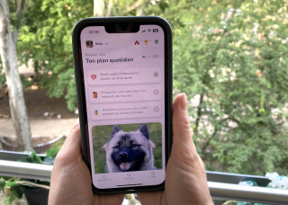 Illustration de l'article : Gros plan sur Hundeo, l’application qui révolutionne l’éducation canine et renforce la relation Homme-chien