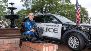 Illustration de l'article : Un chien policier au grand cœur intervient auprès d'une femme prête à mettre fin à ses jours