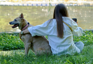 Illustration de l'article : Partez en vacances l'esprit tranquille avec Nomador, un service de garde d'animaux et de maison au poil !