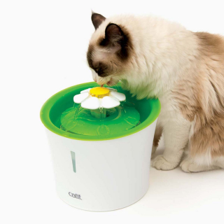 Illustration de l'article : Cet été, gardez votre chat hydraté grâce aux fontaines à eau innovantes et stylées proposées par Catit