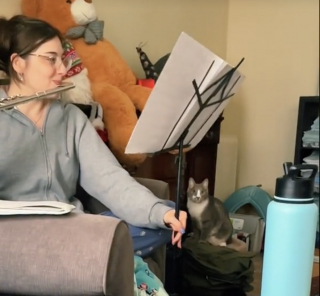 Illustration de l'article : Un chat espiègle sabote la répétition de flûte de sa maîtresse et offre une scène hilarante sur les réseaux sociaux (vidéo)