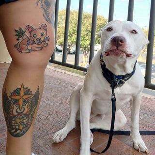 Illustration de l'article : 20 animaux de compagnie apparaissant dans des tatouages uniques en leur genre