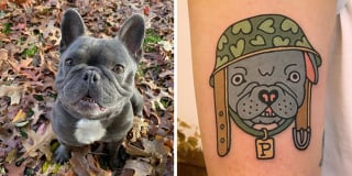 Illustration de l'article : 20 animaux de compagnie apparaissant dans des tatouages uniques en leur genre