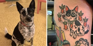 Illustration de l'article : 20 animaux de compagnie apparaissant dans des tatouages uniques en leur genre