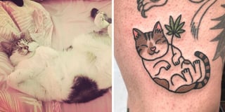 Illustration de l'article : 20 animaux de compagnie apparaissant dans des tatouages uniques en leur genre