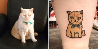 Illustration de l'article : 20 animaux de compagnie apparaissant dans des tatouages uniques en leur genre