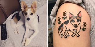 Illustration de l'article : 20 animaux de compagnie apparaissant dans des tatouages uniques en leur genre