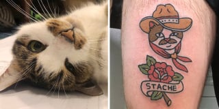 Illustration de l'article : 20 animaux de compagnie apparaissant dans des tatouages uniques en leur genre