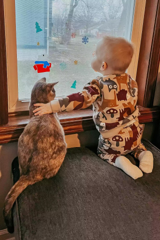 Illustration de l'article : Un chat devient un précieux compagnon pour un enfant qui se bat contre un cancer