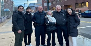 Illustration de l'article : Après avoir aidé un chien jeté d'une voiture, des étudiants alertent la police et rendent possibles des retrouvailles inespérées