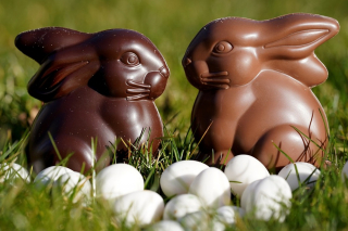 Illustration de l'article : À Pâques, protégeons nos animaux des dangers des chocolats