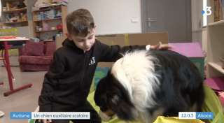 Illustration de l'article : Des écoliers atteints de troubles autistiques se métamorphosent grâce à la présence d’un chien d’assistance