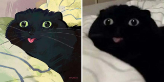 Illustration de l'article : 20 portraits de chats désopilants inspirés de scènes rencontrées sur le net