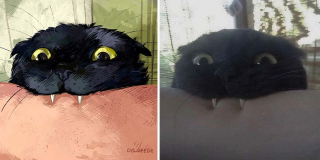 Illustration de l'article : 20 portraits de chats désopilants inspirés de scènes rencontrées sur le net